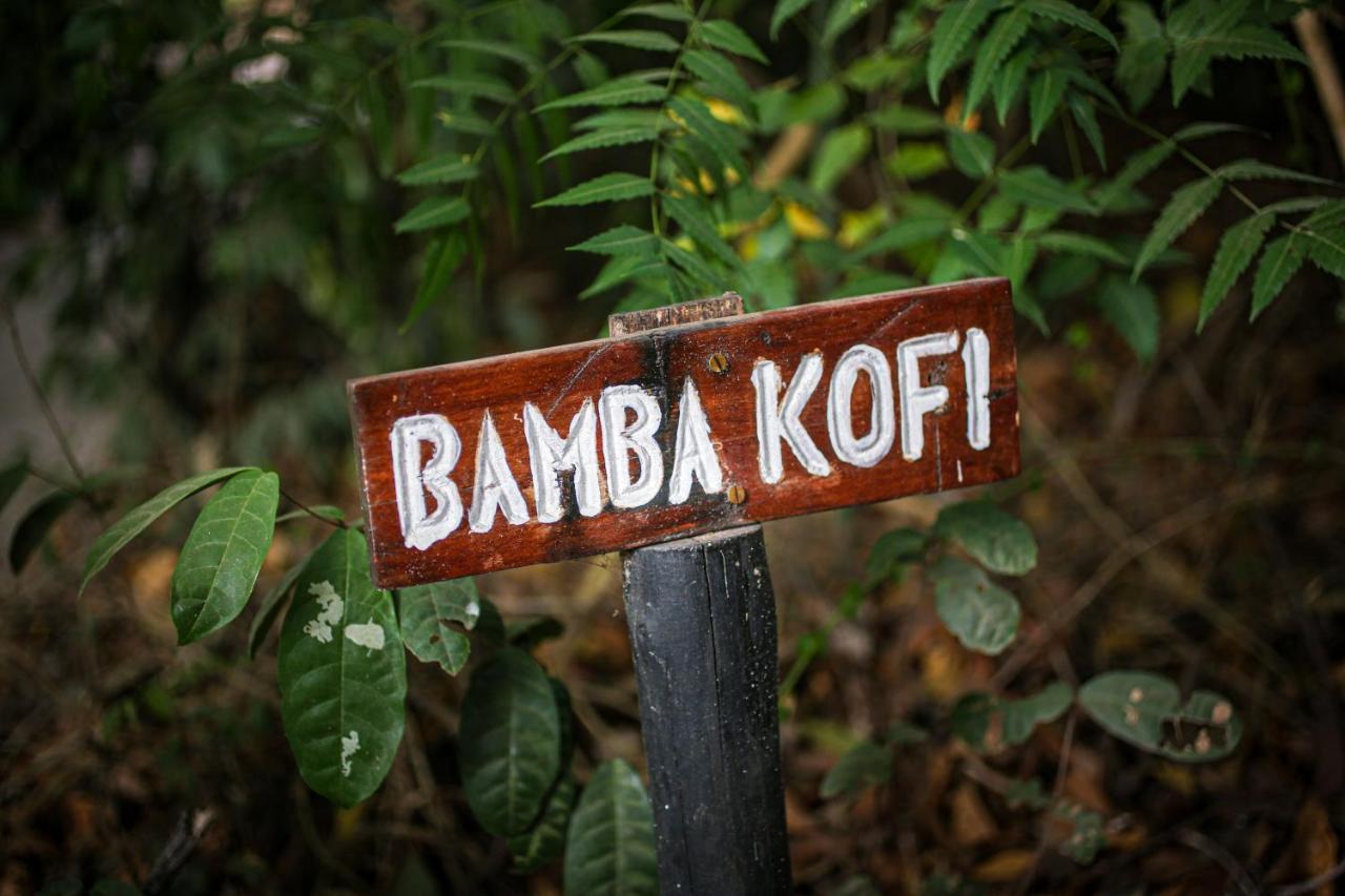 Bamba Kofi Tented Camp 瓦塔穆 外观 照片