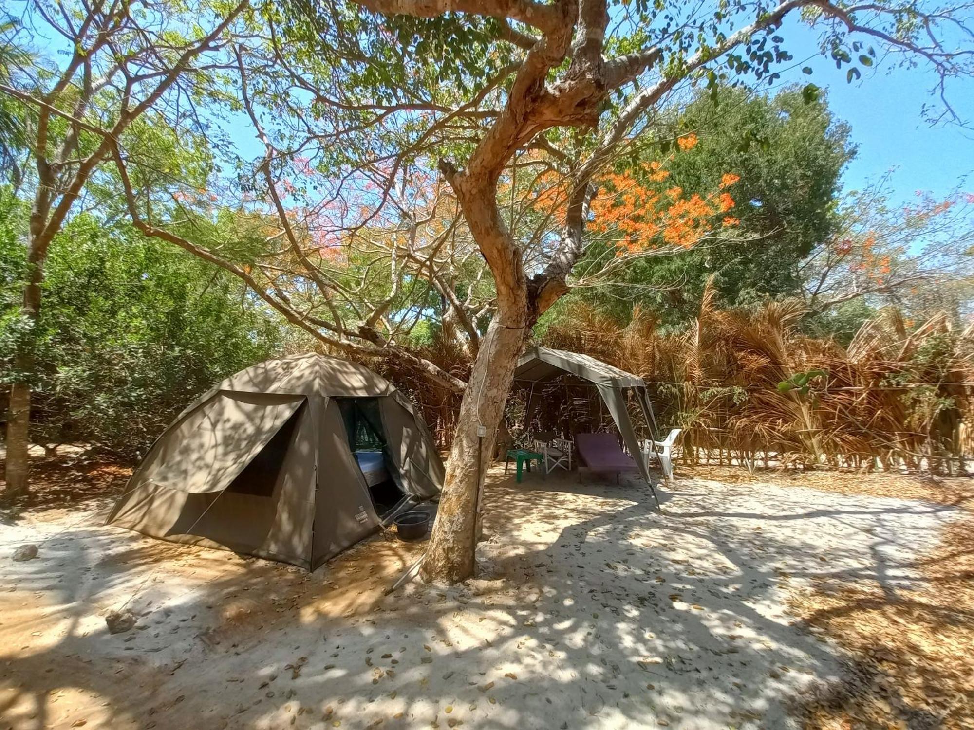 Bamba Kofi Tented Camp 瓦塔穆 客房 照片